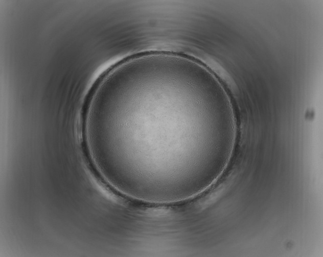 X0000096700838200802051409