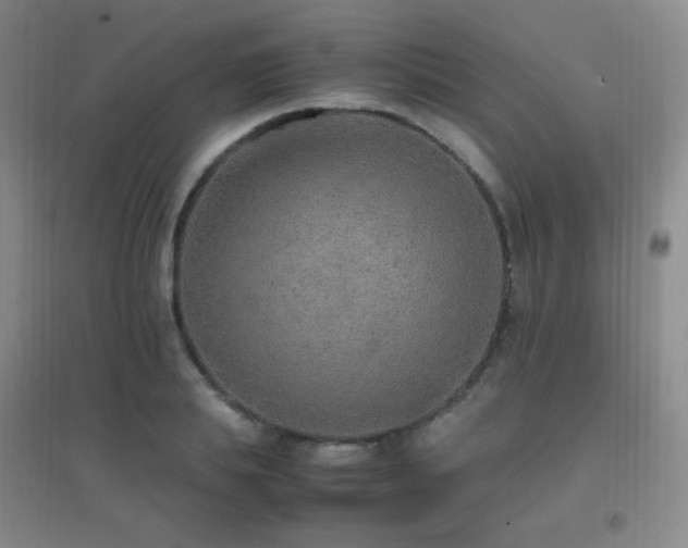X0000096700839200802051409