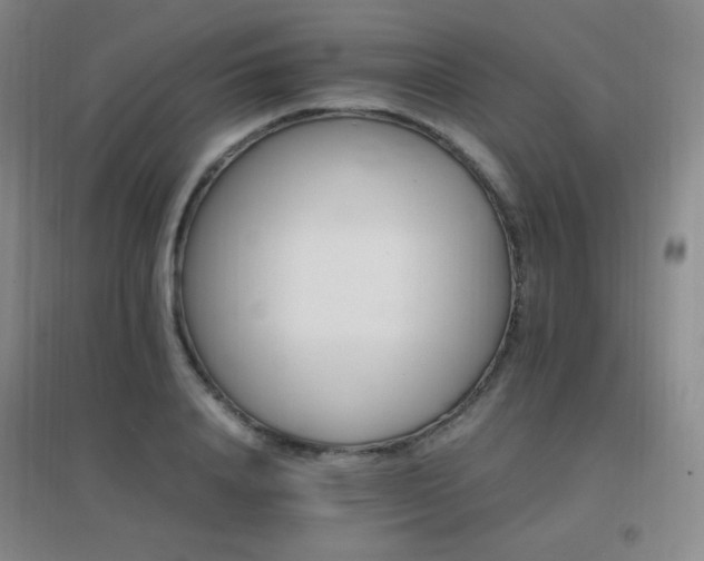 X0000096700840200802051409