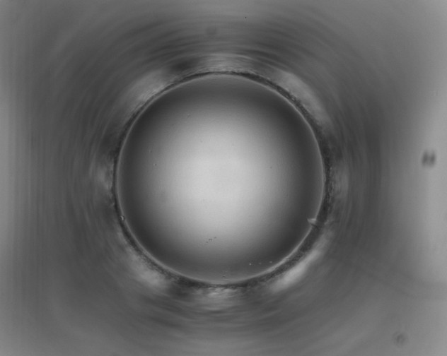 X0000096700841200802051409
