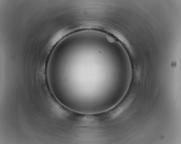 X0000096700842200802051409
