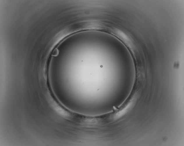 X0000096700843200802051409