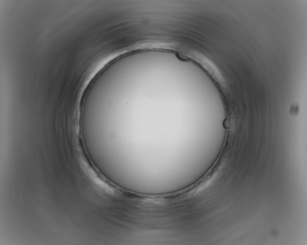 X0000096700844200802051409