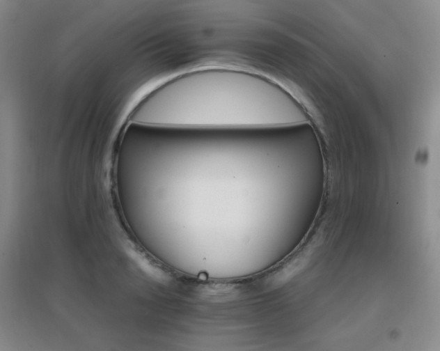 X0000096700846200802051409