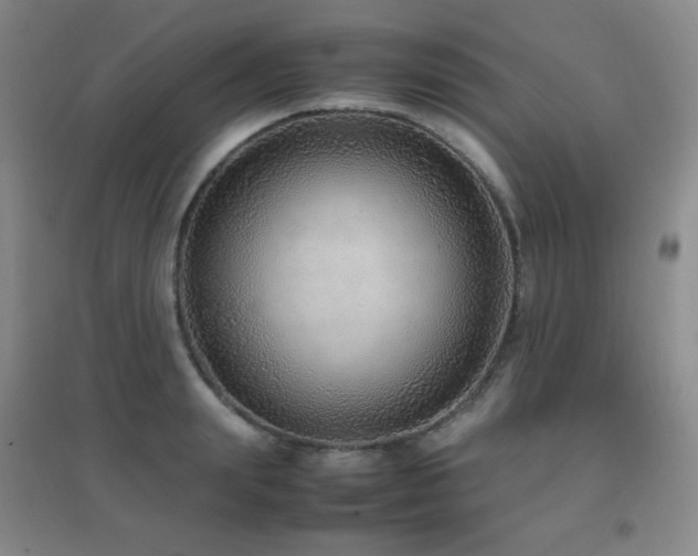 X0000096700847200802051409