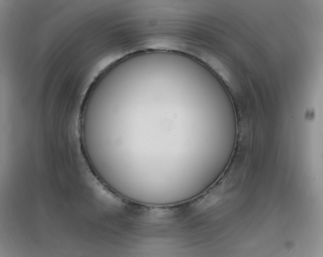 X0000096700848200802051409