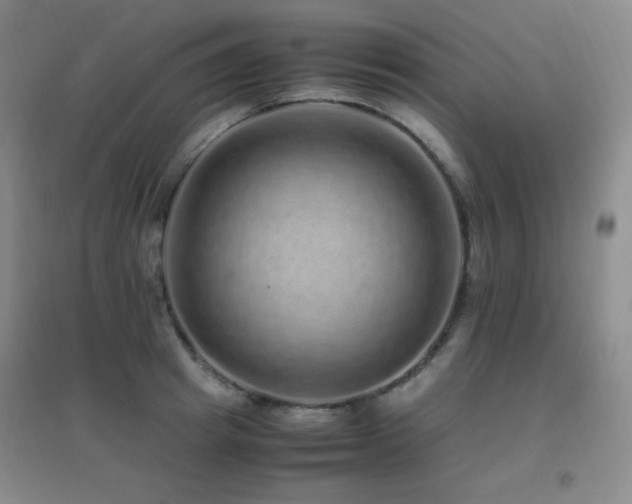 X0000096700849200802051409