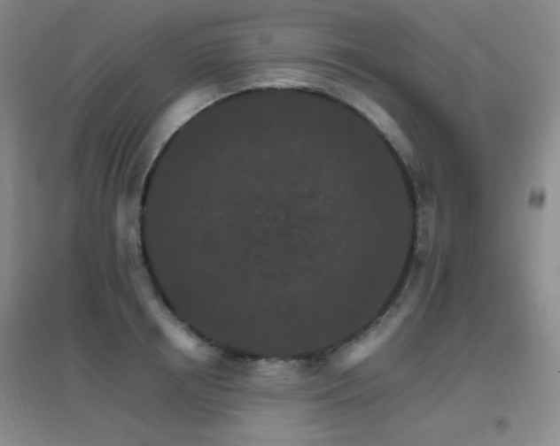 X0000096700850200802051409