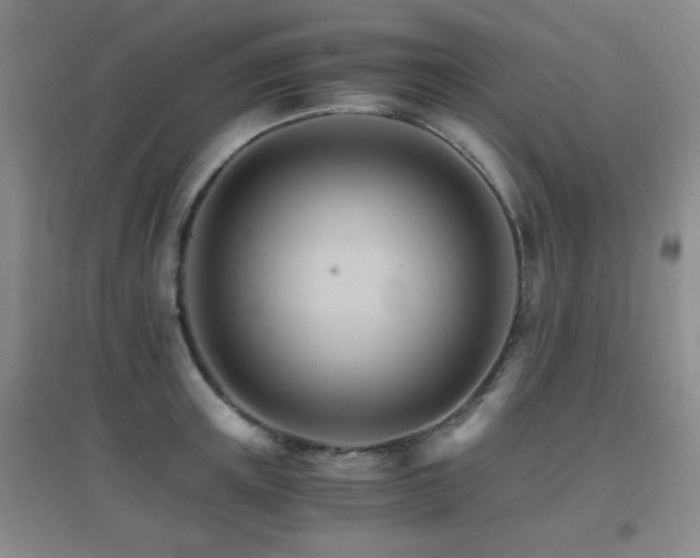 X0000096700851200802051409