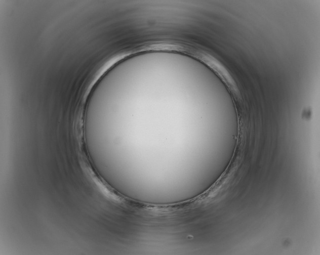X0000096700852200802051409