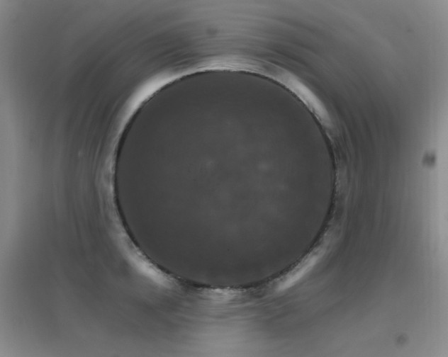 X0000096700854200802051409