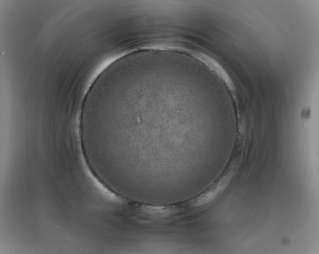 X0000096700855200802051409