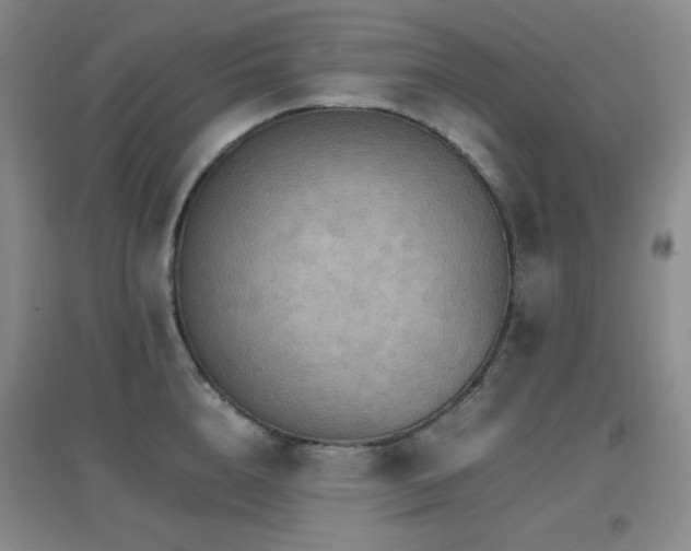 X0000096700856200802051409