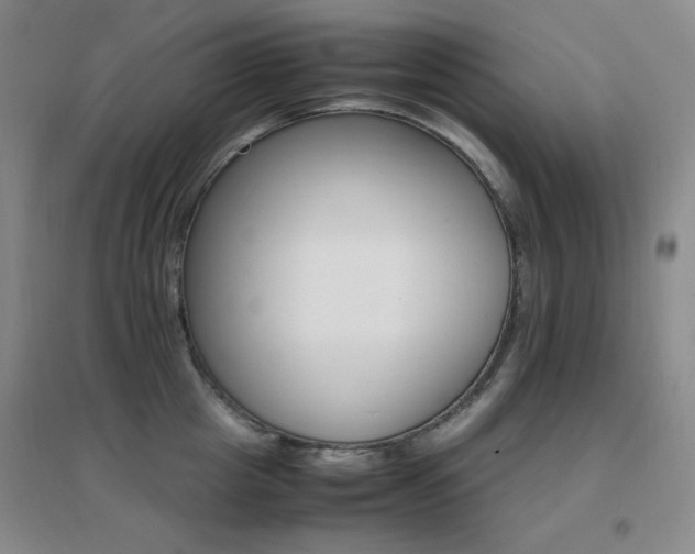 X0000096700857200802051409