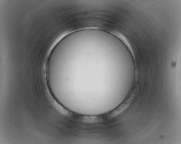 X0000096700859200802051409