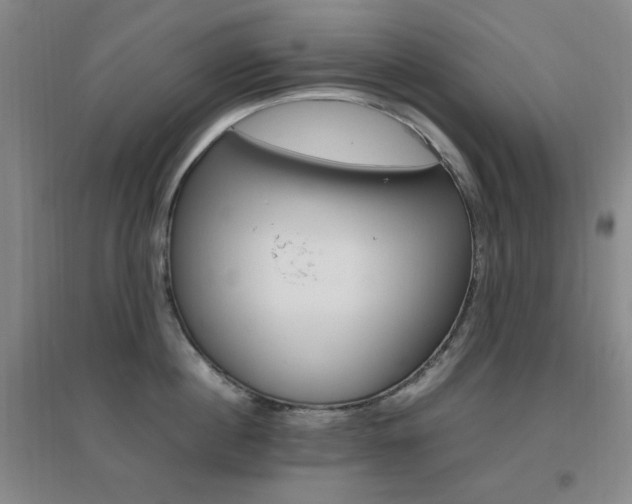 X0000096700860200802051409