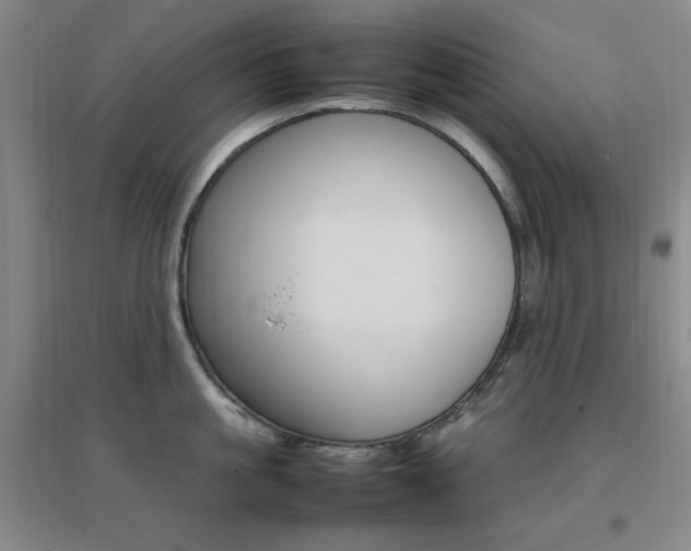 X0000096700861200802051409