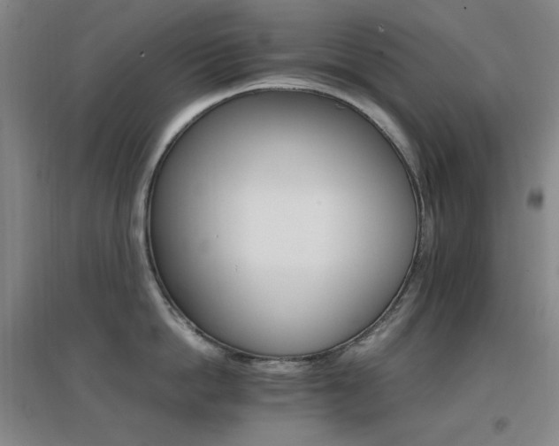 X0000096700862200802051409