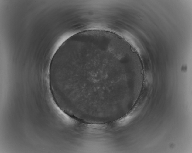 X0000096700863200802051409