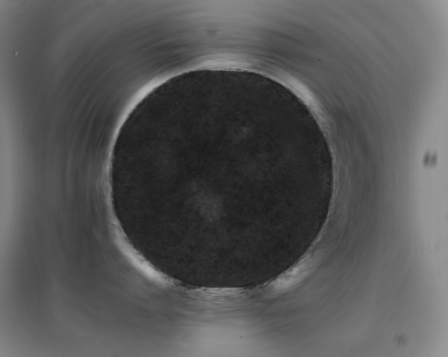 X0000096700864200802051409