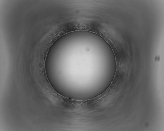 X0000096700865200802051408
