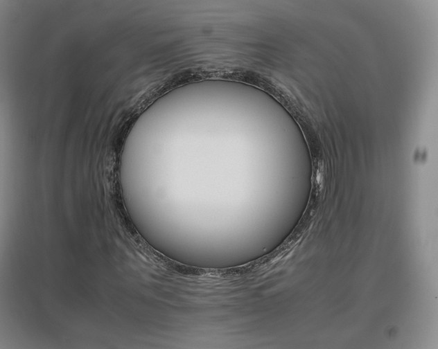 X0000096700867200802051408