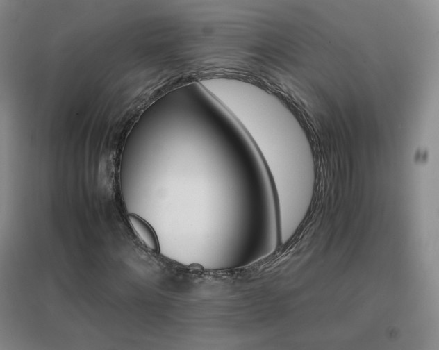 X0000096700868200802051408