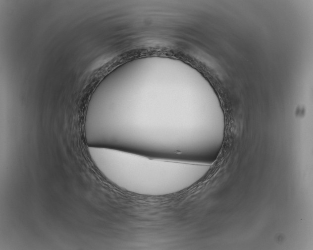 X0000096700869200802051408