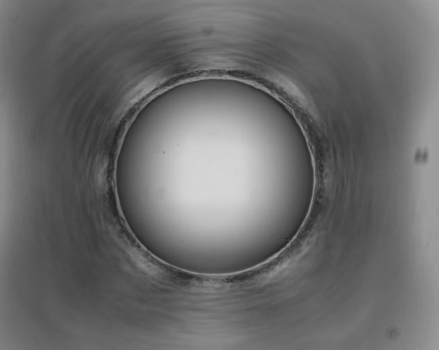 X0000096700873200802051408