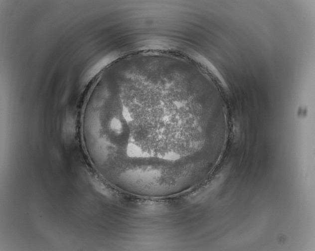 X0000096700874200802051408