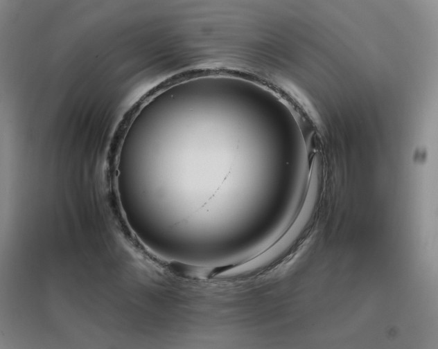 X0000096700876200802051408