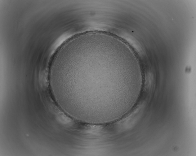 X0000096700878200802051408