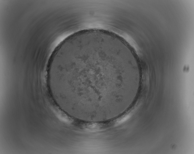 X0000096700879200802051408