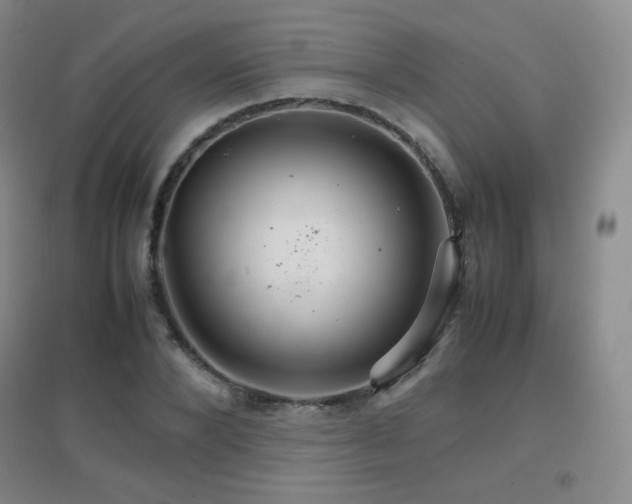 X0000096700880200802051408