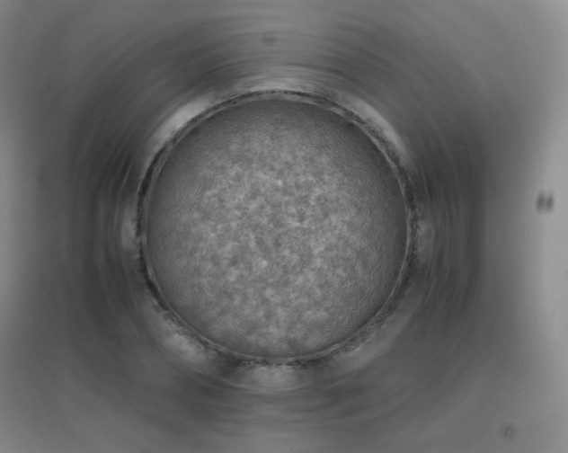 X0000096700882200802051408