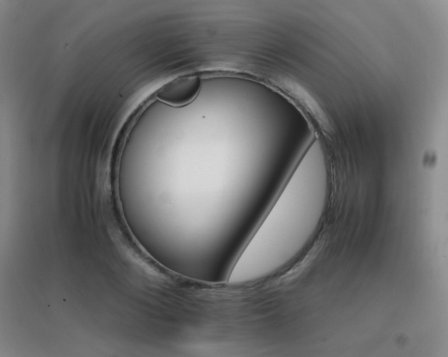 X0000096700884200802051408