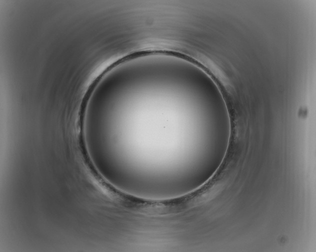 X0000096700885200802051408