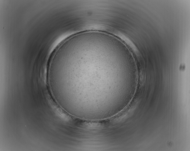 X0000096700886200802051408