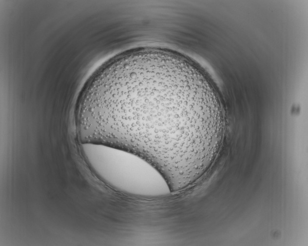 X0000096700887200802051408