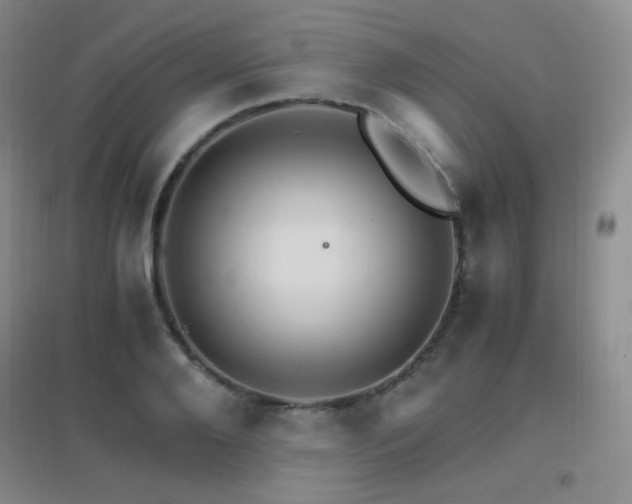 X0000096700888200802051408