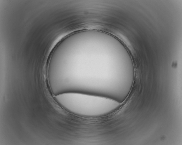 X0000096700891200802051408