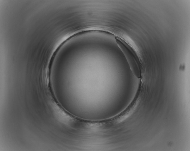 X0000096700892200802051408