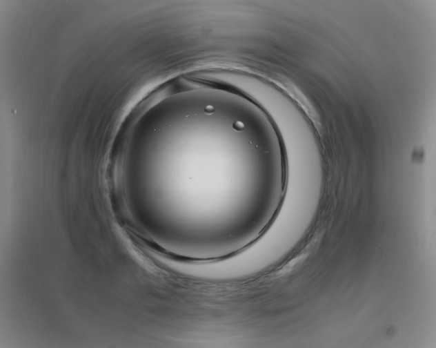 X0000096700893200802051408