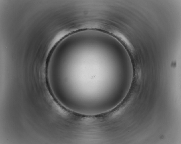 X0000096700894200802051408