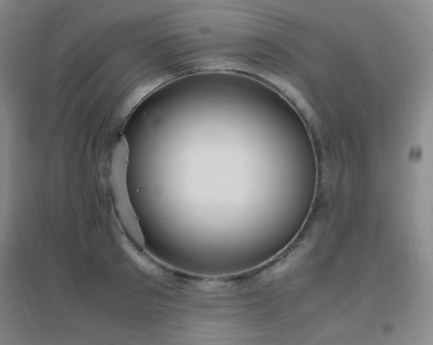 X0000096700897200802051408