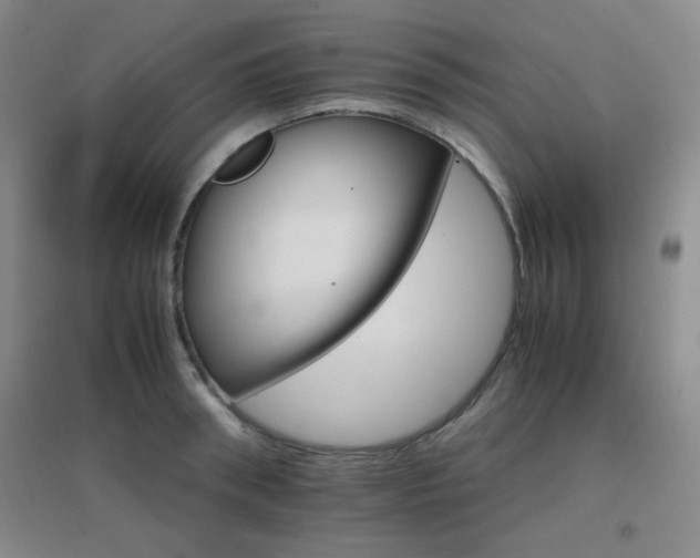 X0000096700898200802051408