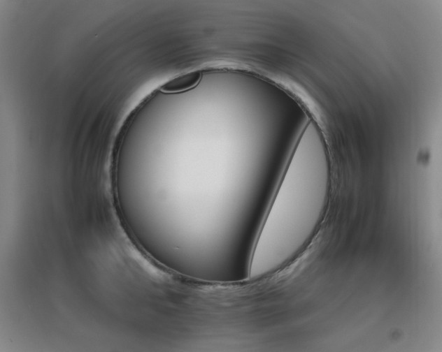 X0000096700902200802051408