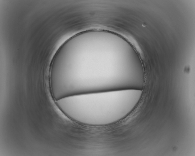 X0000096700903200802051408