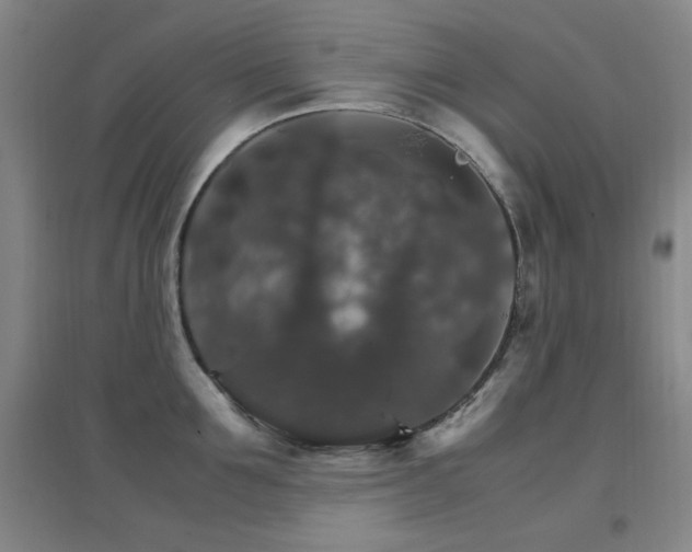 X0000096700907200802051408
