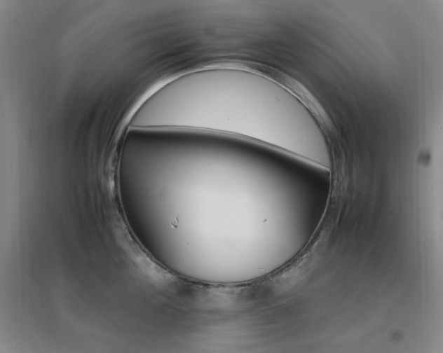 X0000096700908200802051408